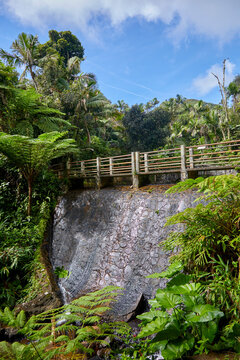 Waterfall in the rainforest of Puerto Rico at the top of the mountain in the El Yunque National Forest