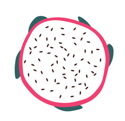 Tropical and exotic pitaya, slice of dragon fruit