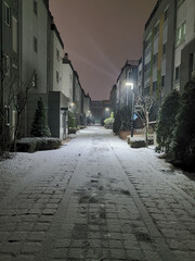 street in front of house after snow, 1st