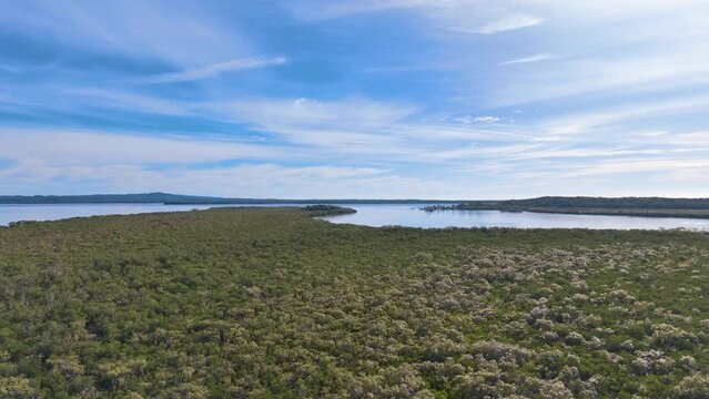 Low flight over the rich lush mangroves of Fraser Coast's Pannikin Island