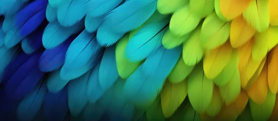 Zelfklevend Fotobehang Parrot feather background for computer screen. © AkuAku