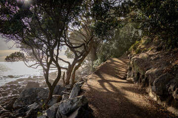 path next to the ocean