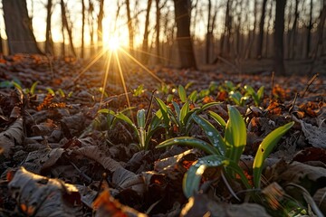 Obraz premium the beauty of universe professional photography