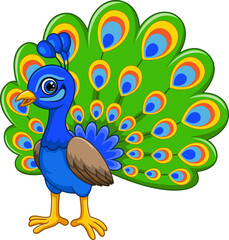 Beautiful peacock cartoon on white background - 710310287