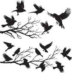 Set of Birds on branch silhouette on white background 