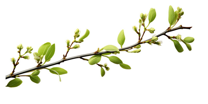 Spring twig with green leaf buds Artificial Intelligence Generative