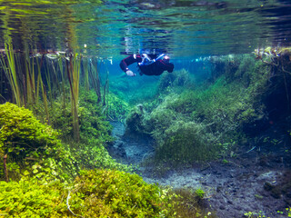 Snorkelling in Ewens Ponds, South Australia