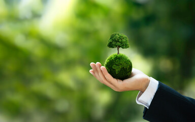 Save Environment or World Earth Day. Green Company concept. Business Hand Holding Green Globe with...