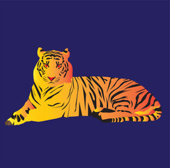 tiger on a white background