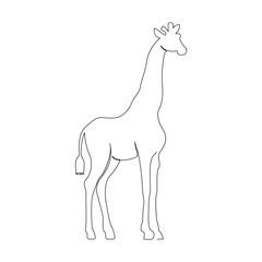 Continuous one line giraffe single line art design and world wildlife Day concept hand drawn minimalist style vector illustration
