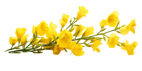 yellow linaria flowers Artificial Intelligence Generative