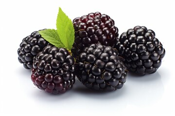 A pile of blackberries with a leaf on top, resembling raspberries, in a superior quality illustration.