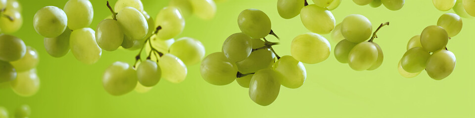 a fresh green grape with a dewy surface on the air in a green background for a banner, wine label,...