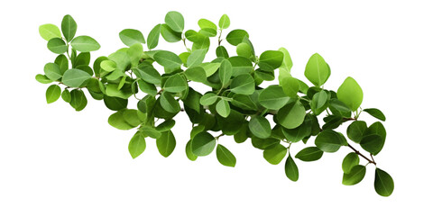 Fototapeta na wymiar Green leaves in arrangement Artificial Intelligence Generative