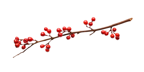 Dry twigs with berries Artificial Intelligence Generative