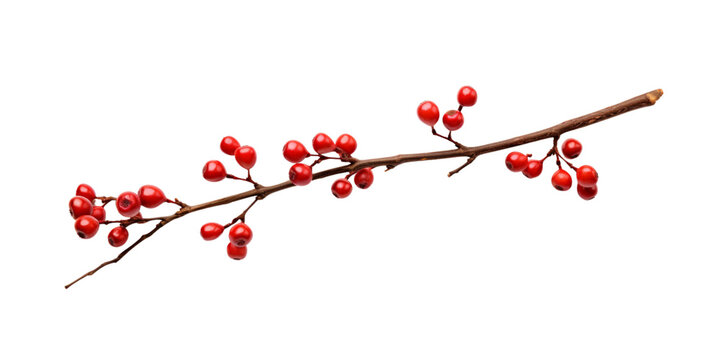 Dry twigs with berries Artificial Intelligence Generative