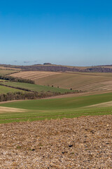 Fototapeta premium Looking out over farmland in the South Downs, on a sunny winter's day