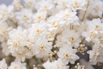 Fototapeta premium Close-up of a bunch of white flowers, Generative AI