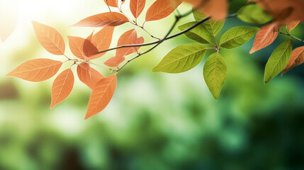 Close-up of a tree branch with green leaves and blurred background, nature, Generative AI