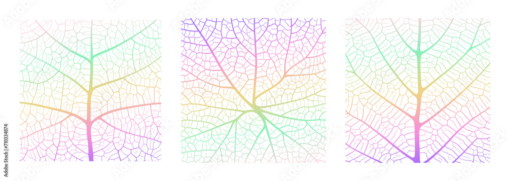 Wall mural leaf vein texture abstract background with close up plant leaf cells ornament texture pattern. gradi