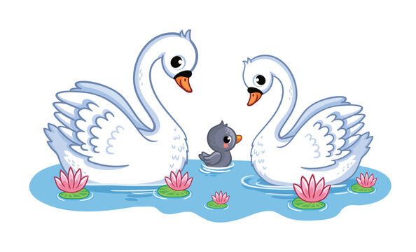A cute family of swans swims in a pond. Cute wild birds in cartoon style. The cygnet with his parents.