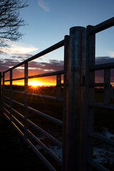 Metal farm gate at sunset in the winter. Winter rural farmland concept