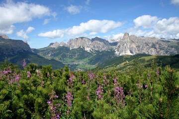 Dolomite's landscape in Alta Badia