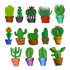 isolated set of cactus 