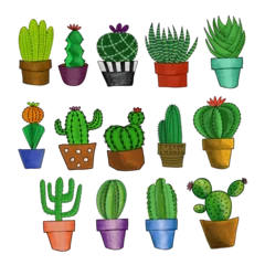 Glasschilderij Cactus in pot isolated set of cactus 