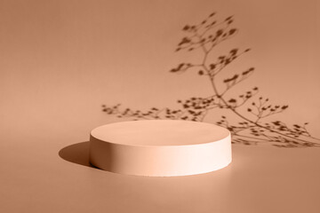 Podium for cosmetic product presentation. Abstract minimal geometrical form. Cylinder stone sphere one form. Sun shadow. Scene to show products. Showcase, display case. Trendy sunlight. Front view.