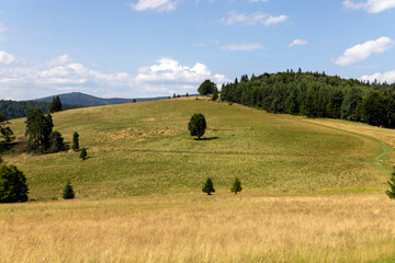 Obraz premium Tourist route along the peak of the Pieniny Mountains, panorama of picturesque meadows against the blue sky, Poland