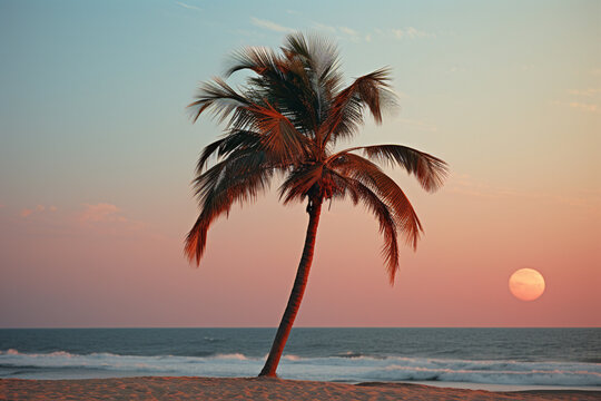 A serene image of a lone palm tree on a beach, with the sun setting majestically in the background.