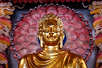 Lam Te Pagoda. Siddhartha Gautama, most commonly referred to as the Buddha : the awakened. Ho Chi Minh city. Vietnam.