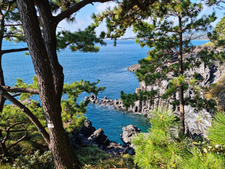 
The scenery of columnar joints seen between the trees.