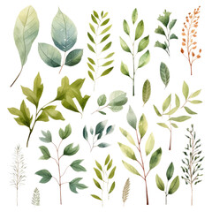 Watercolor floral set of green leaves, greenery, branches, PNG illustration on transparent background
