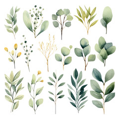 Watercolor floral set of green leaves, greenery, branches, PNG illustration on transparent background - obrazy, fototapety, plakaty