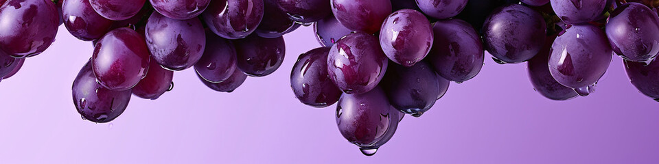 a fresh grape with a dewy surface, raindrops on the air in a purple background for a banner, wine...