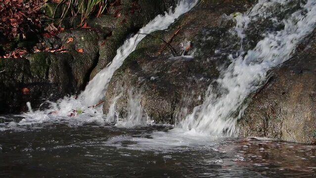 Two small waterfalls in lowland stream. Winter. UK
