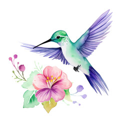 Obraz premium Hummingbird clipart for graphic resources watercolor PNG transparent background