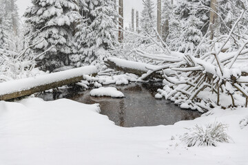 Winterwanderung um den Oderteich Bilder aus dem winterlichen Nationalpark Harz Niedersachsen