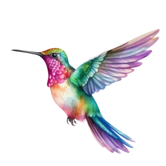 Fotobehang Kolibrie Hummingbird clipart for graphic resources watercolor PNG transparent background