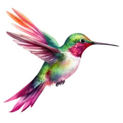 Fotobehang Kolibrie Hummingbird clipart for graphic resources watercolor PNG transparent background