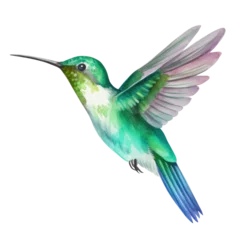 Stof per meter Kolibrie Hummingbird clipart for graphic resources watercolor PNG transparent background
