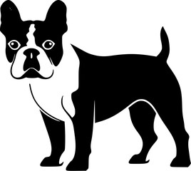French Bulldog Dog SVG Very Simple Standing