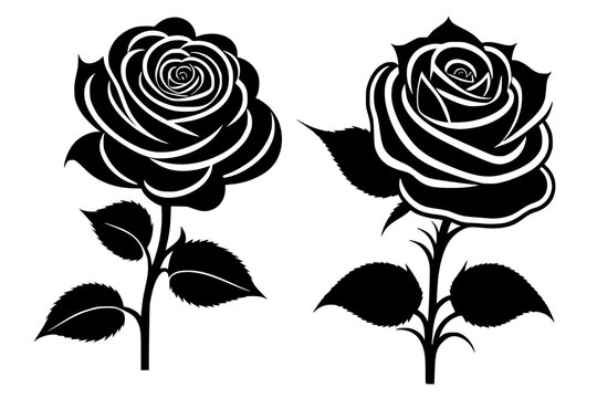 black and white rose Vector illustration silhouette image icon
