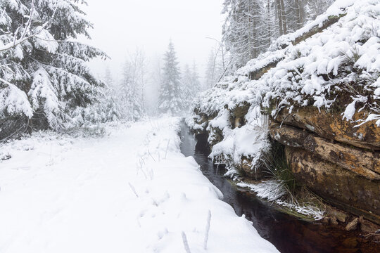 Winterwanderung um den Oderteich Bilder aus dem winterlichen Nationalpark Harz Niedersachsen