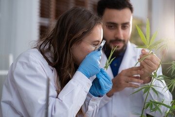 Young White Sciencetist woman looking through magnifying glass watching weed leaf while her...
