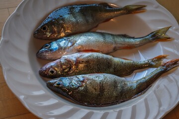 Fish in the plate. Four perches. Fresh raw food.