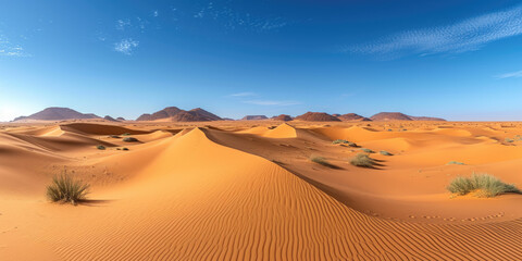 Fototapeta na wymiar Die Sahara-Wüste mit Sanddünen und klarem Himmel