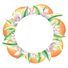 Fototapeta na wymiar Round frame of oranges with green leaves and white flowers. Summer citrus template with copy space. Isolated hand drawn illustration for card and invitation, making stickers, print packaging, textile